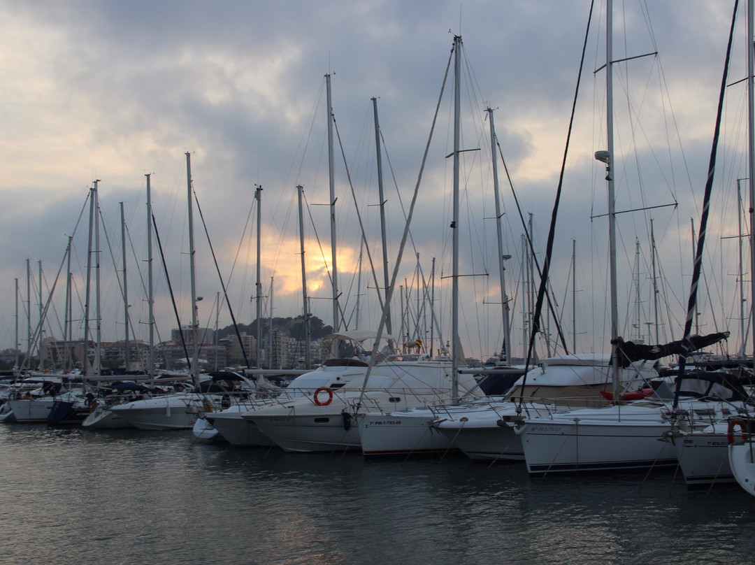 Marina el Portet de Denia景点图片