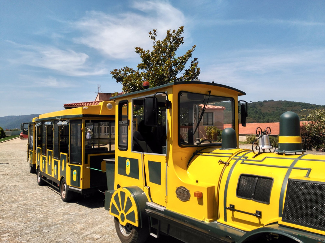 Tren Turistico Aba Sacra