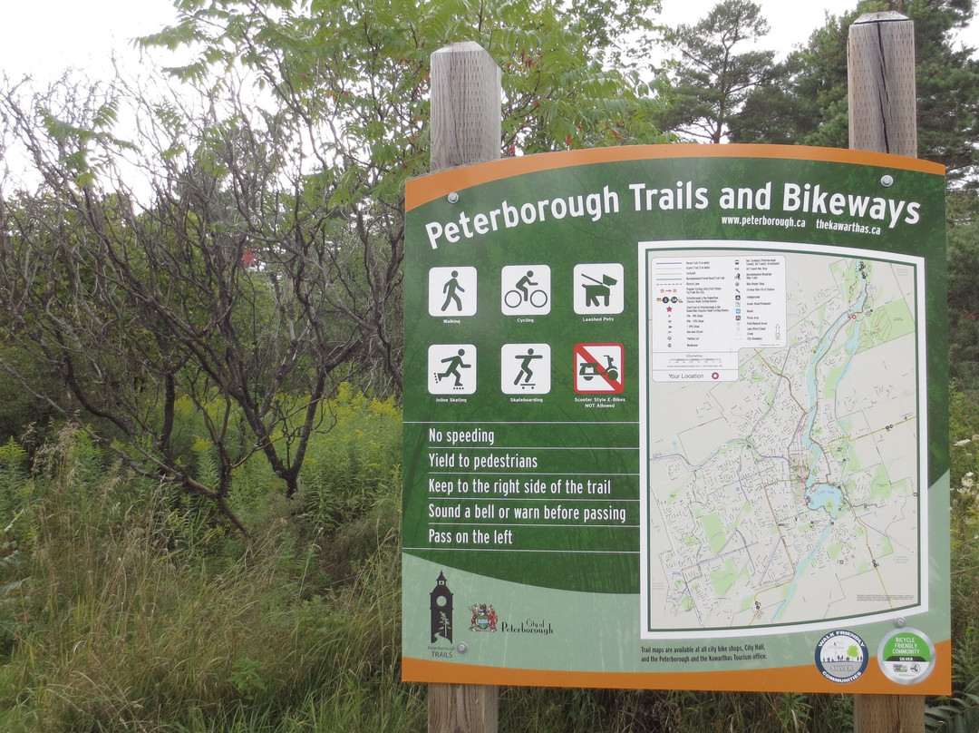 Peterborough-Lakefield Rotary Greenway Trail-彼得伯勒必去景点