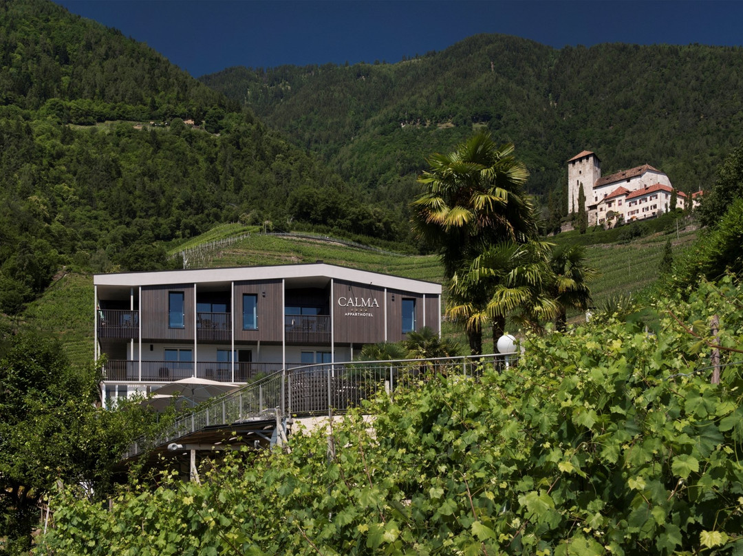 Apparthotel Calma
