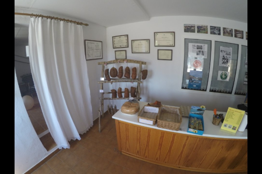 Quesos Binibeca-阿拉约尔必去景点