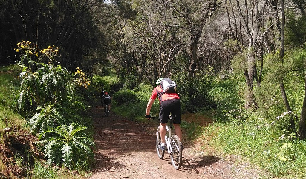 Gomera Bikes-Valle Gran Rey必去景点