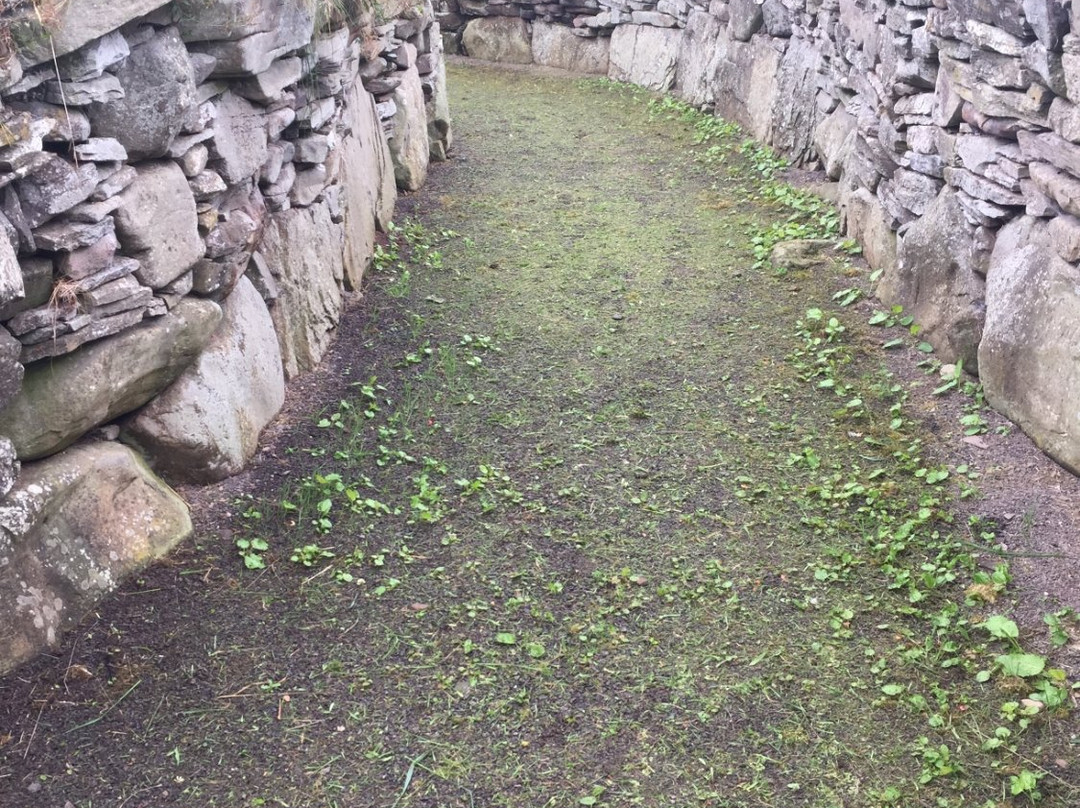 Tealing Earth House-Kirkton of Tealing必去景点