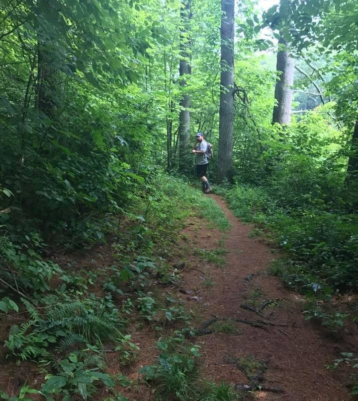 Zaleski State Forest-Zaleski必去景点