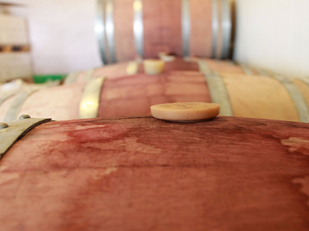 Drimia Winery-Judaean Hills必去景点