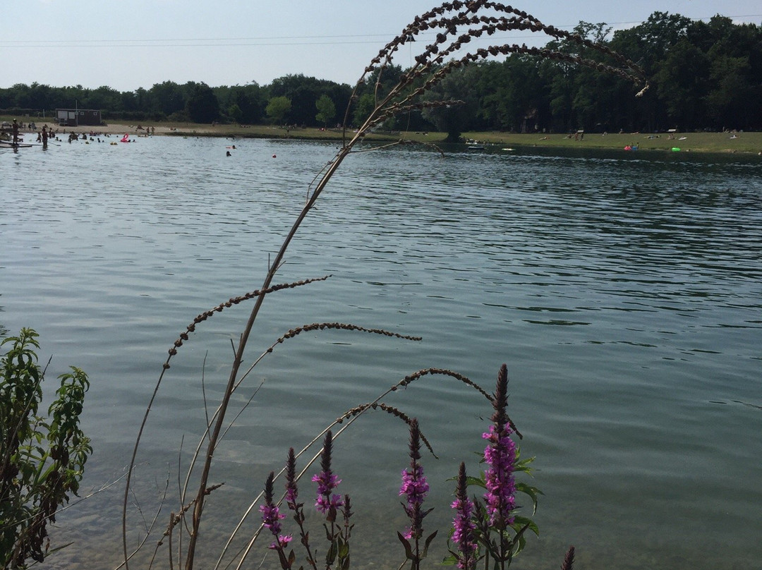 Koba Wake Park-Wittisheim必去景点