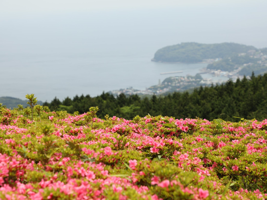 Hoshigayama Park Satsuki no sato-汤河原町必去景点