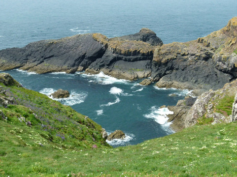 Skomer Island旅游攻略图片