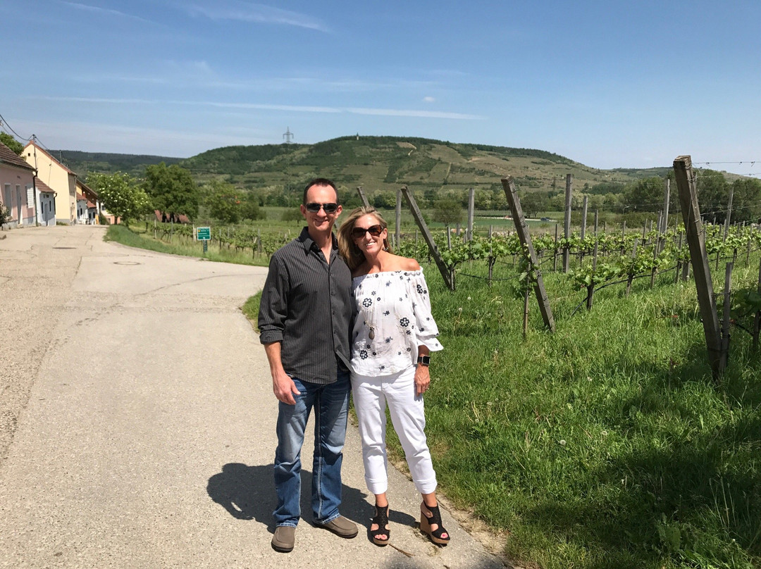 Weingut Fred Loimer-Langenlois必去景点