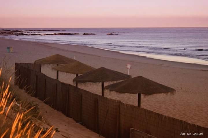 i-Dive Spirit-Mindelo必去景点