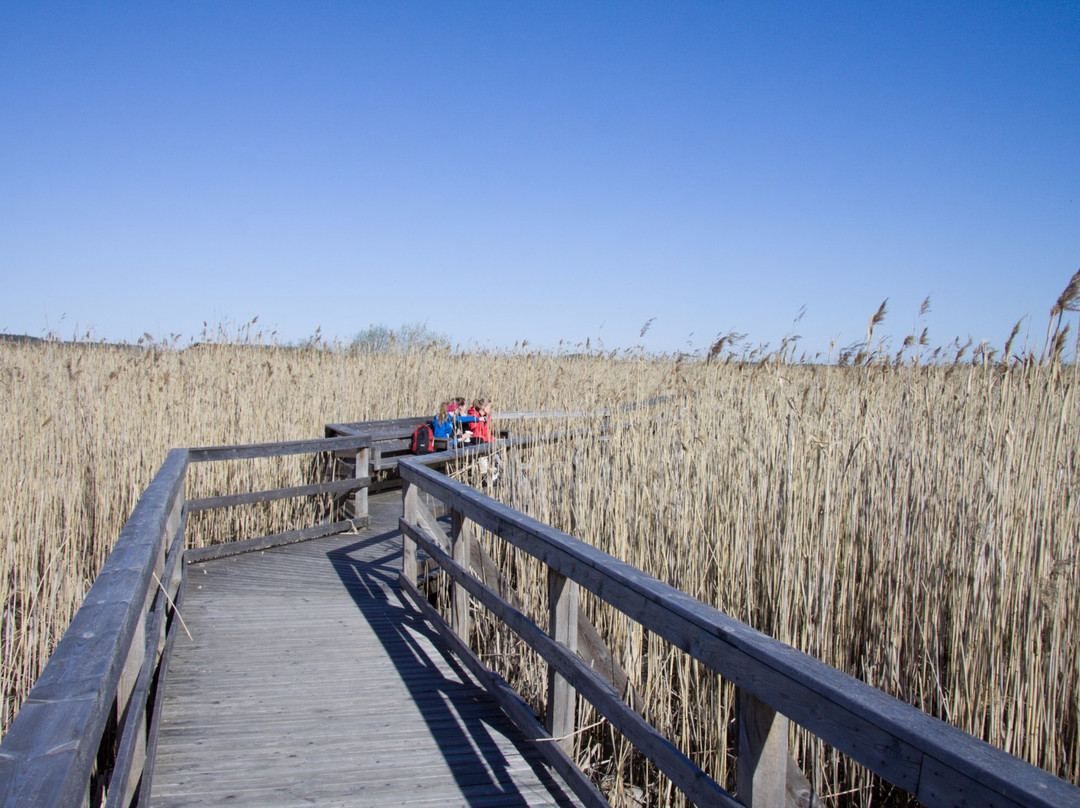 Hjälstaviken Naturreservat-Enkoping必去景点