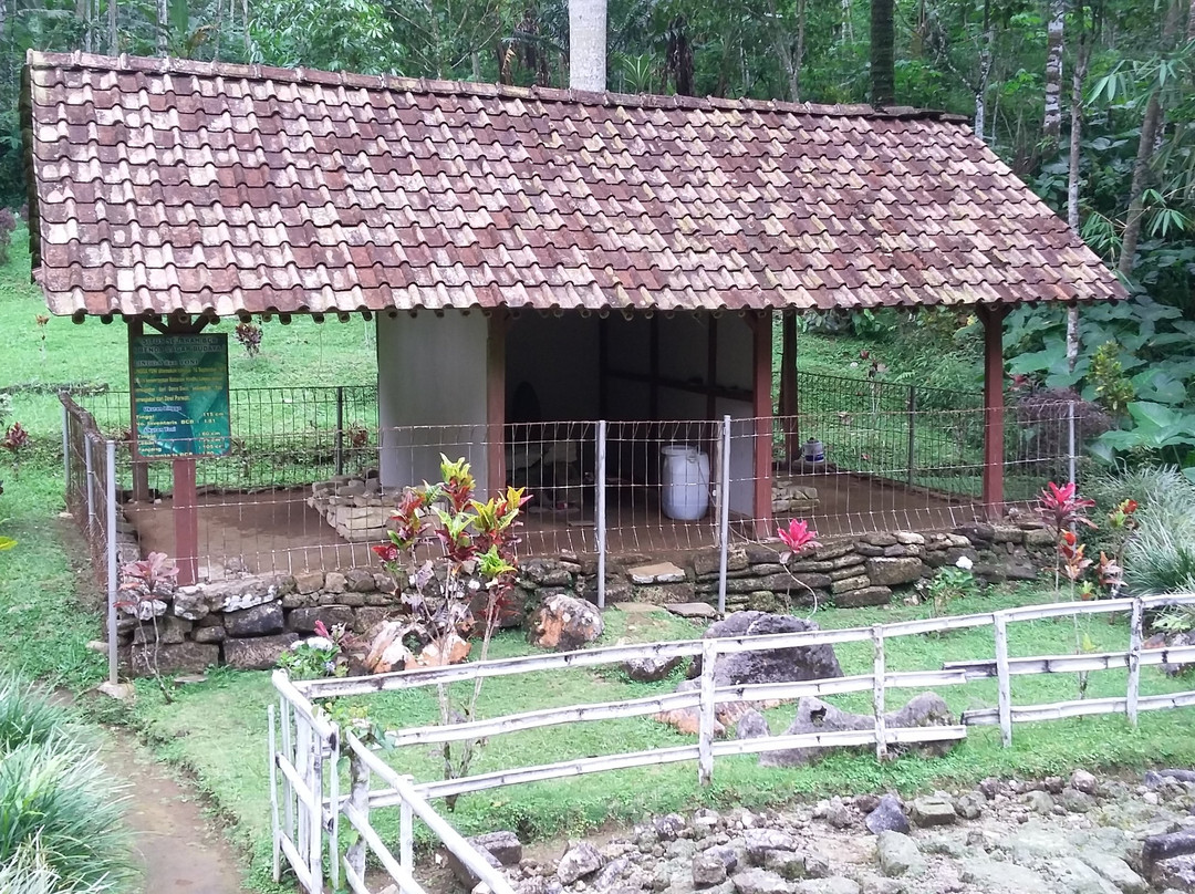 Purworejo旅游景点-Seplawan Cave