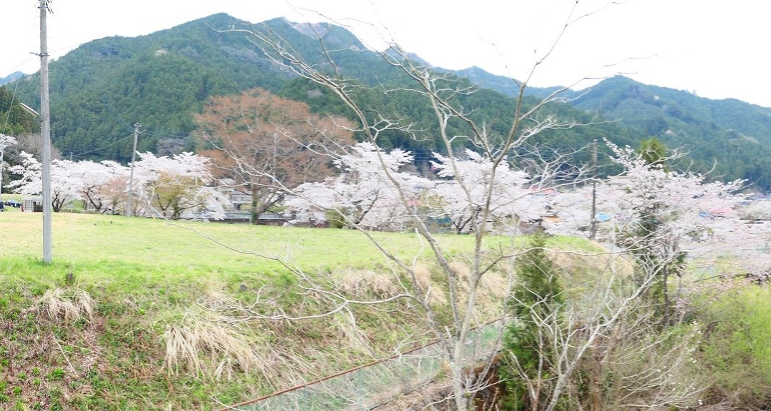 Sawarabi no Yu-饭能市必去景点