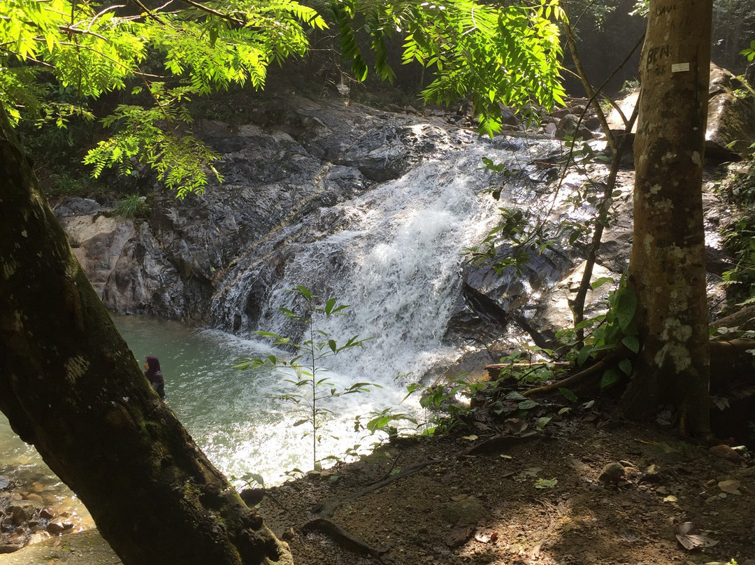Pulai Waterfall景点图片