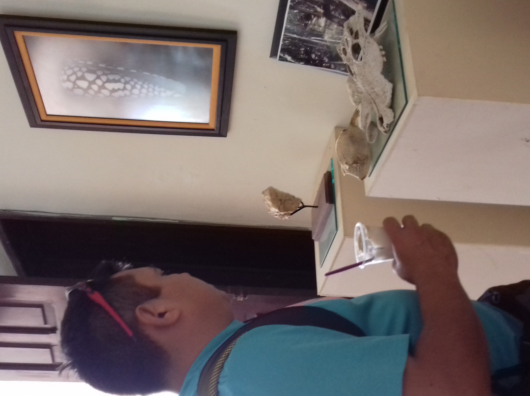 Museo Del Mar Mexico-Telchac Puerto必去景点