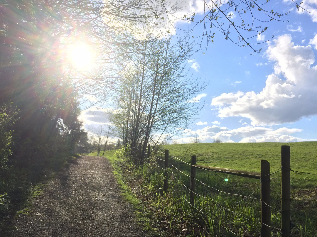 Matsqui Trail Regional Park景点图片