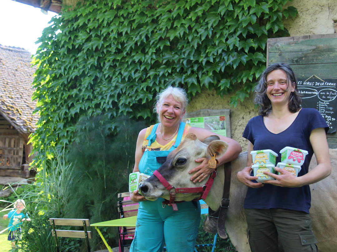 Revel旅游攻略图片