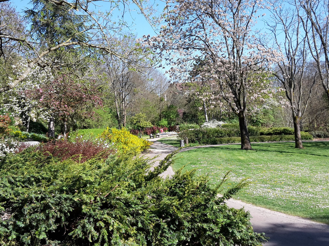 Parc des Carrières Bacquin景点图片