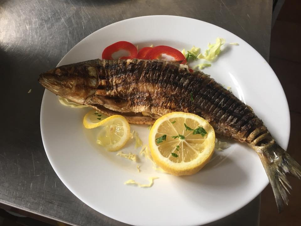 Slava Rusa酒店住宿-Casa Pescarilor