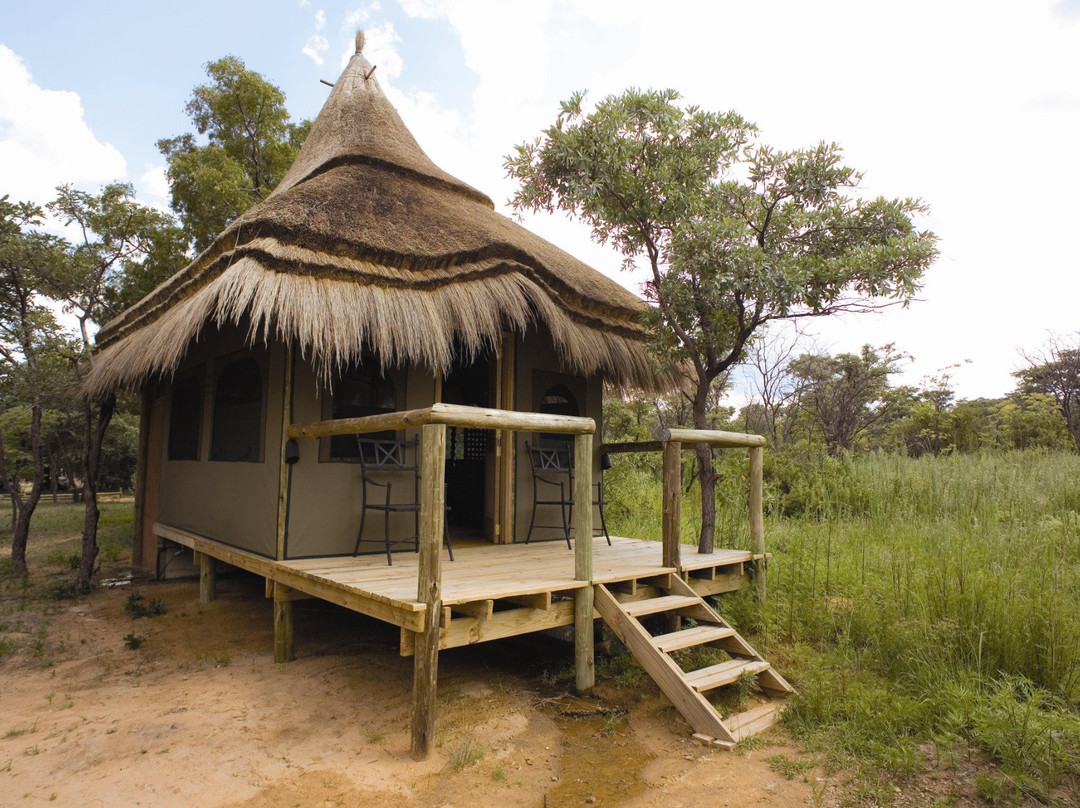 Wildside Camp