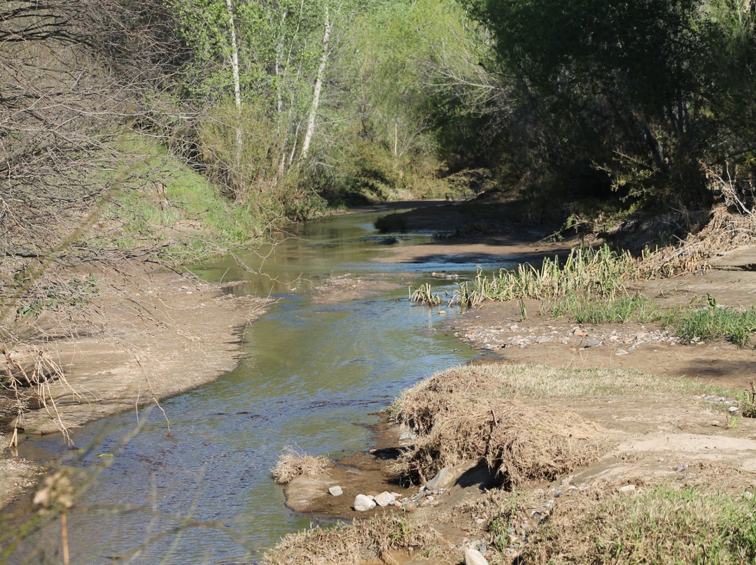 Hassayampa River Preserve-Wickenburg必去景点