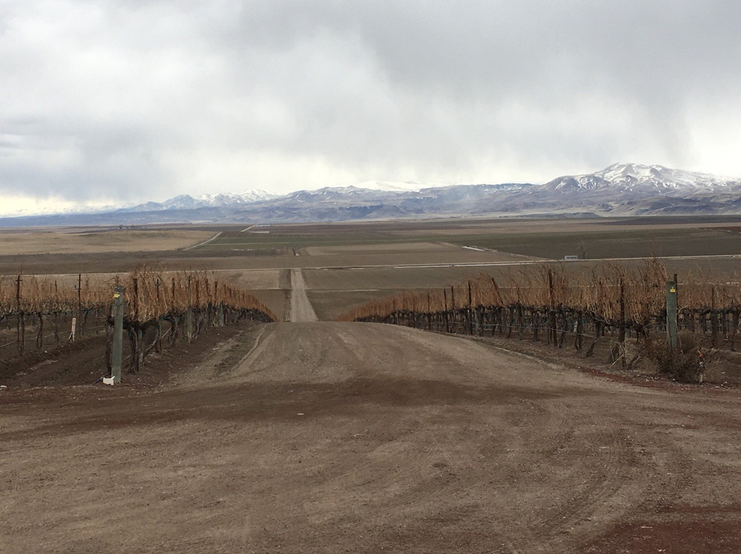 Sawtooth Winery-楠帕必去景点