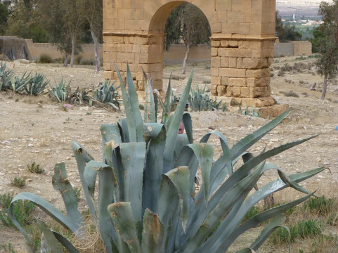 Ancient Ammaedara-Kasserine必去景点