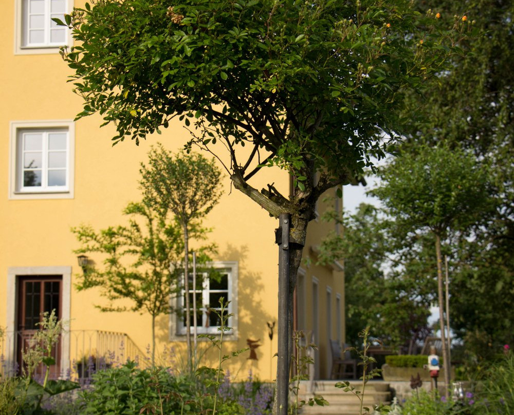 Mauthausen酒店住宿-Gartenzimmer