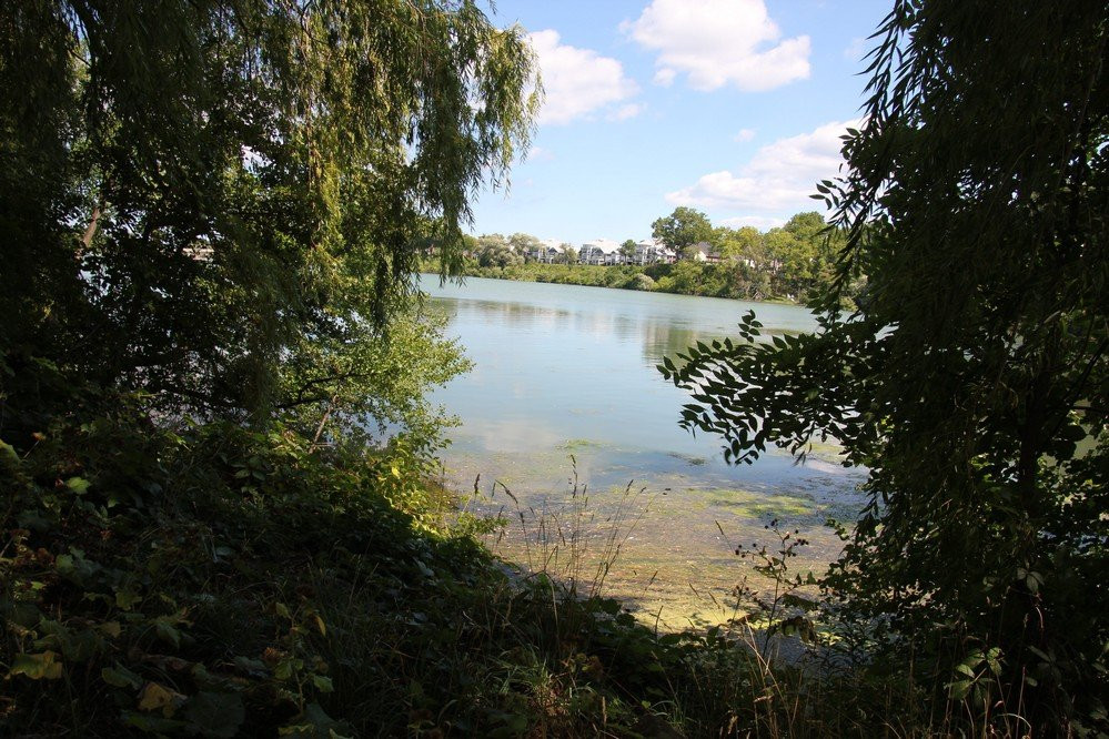 Jaycee Gardens Park-圣凯瑟琳斯必去景点