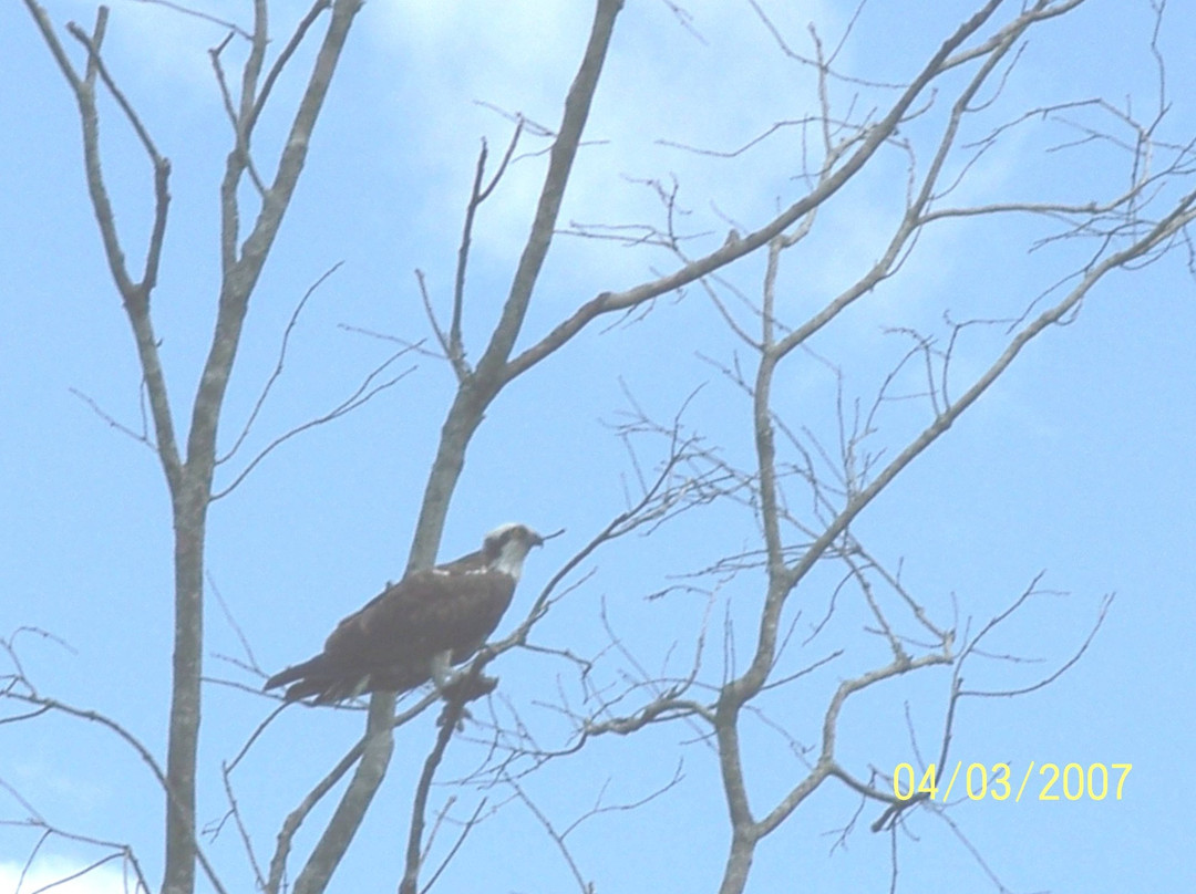 Southern Outdoorsman Guide Service-莱克威尔士必去景点