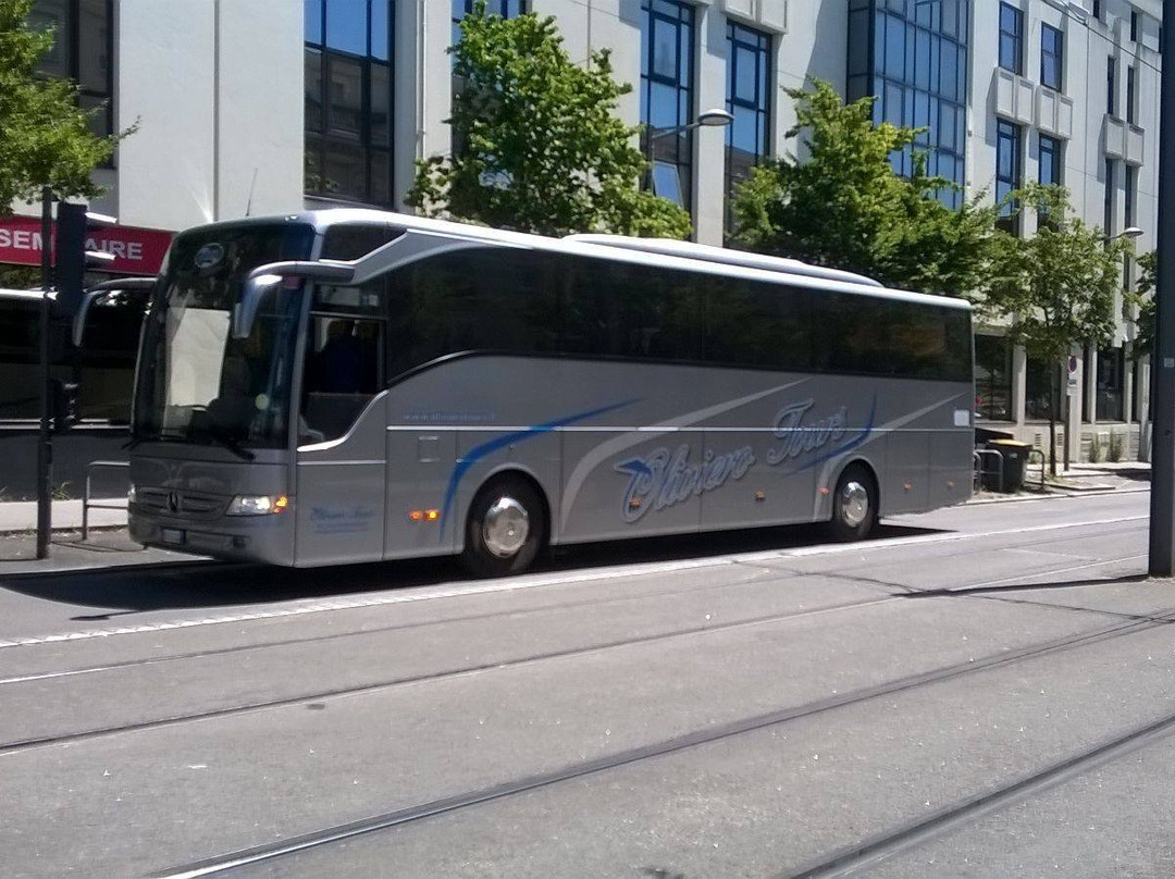 Oliviero Tours-维琴查必去景点