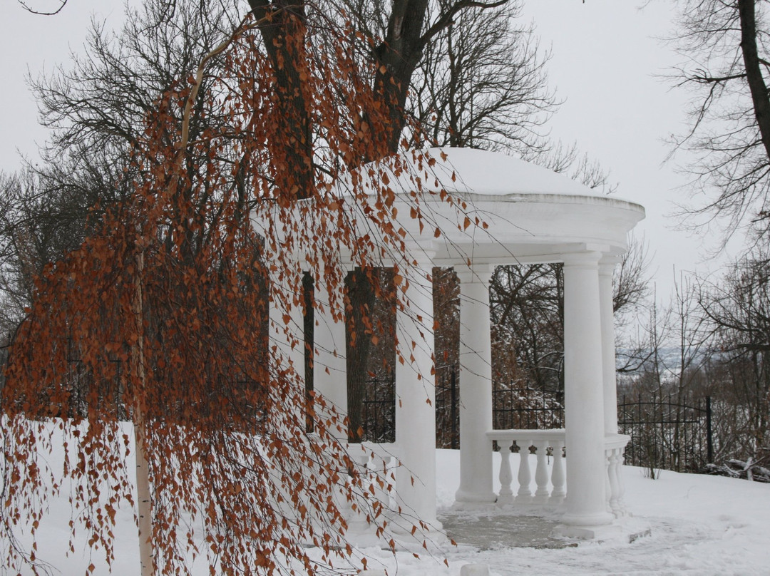 Palace-Museum of Venevitinov-Novozhivotinnoye必去景点