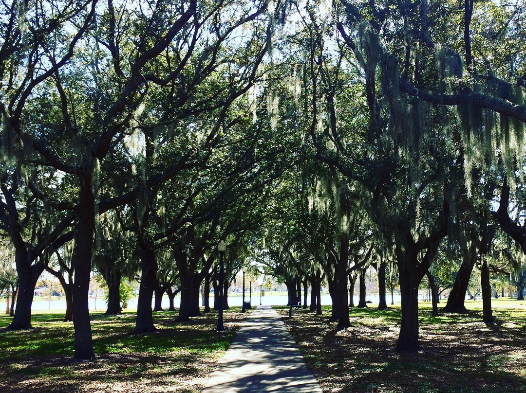 Doggie Days Dog Park-克利尔沃特必去景点