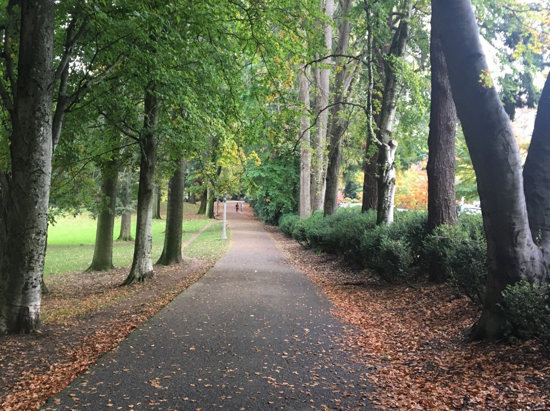 Laurelhurst Park景点图片