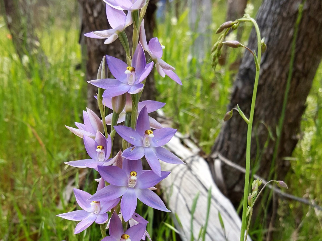 Neagles Estate-克莱尔必去景点