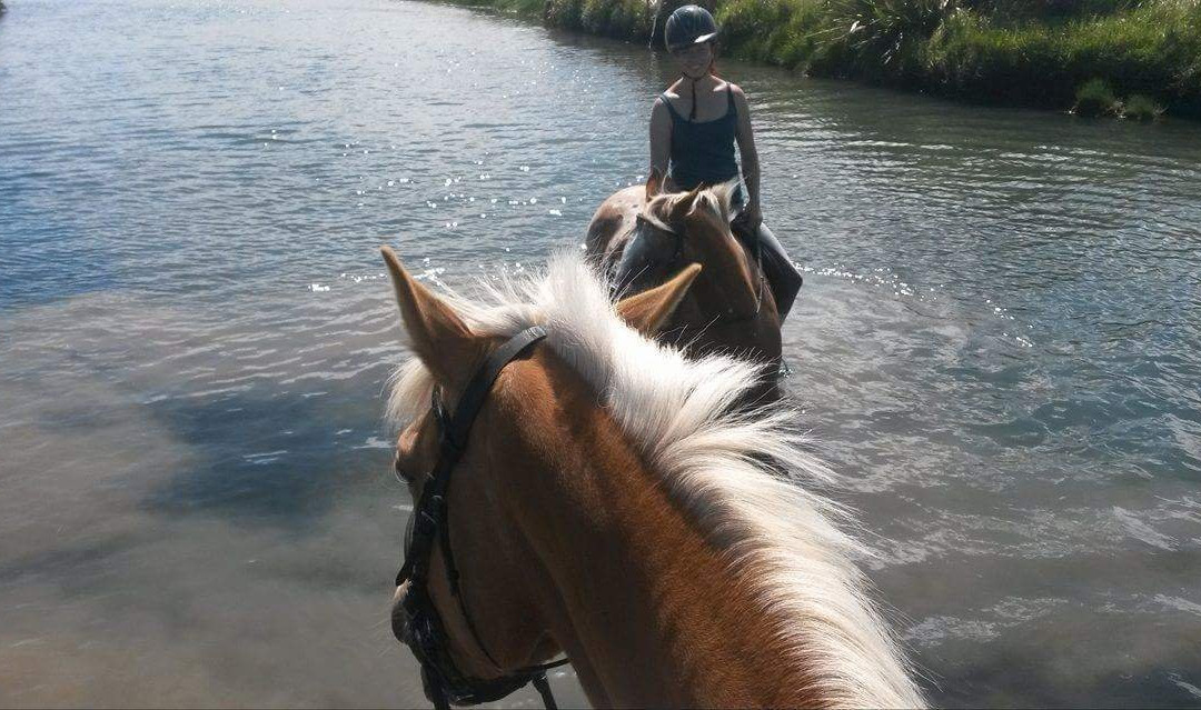 Beachbrook Riding Stables景点图片
