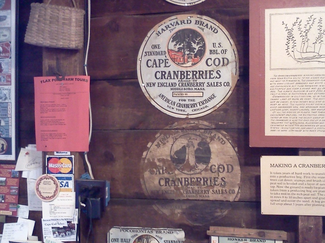 Flax Pond Farms-Carver必去景点