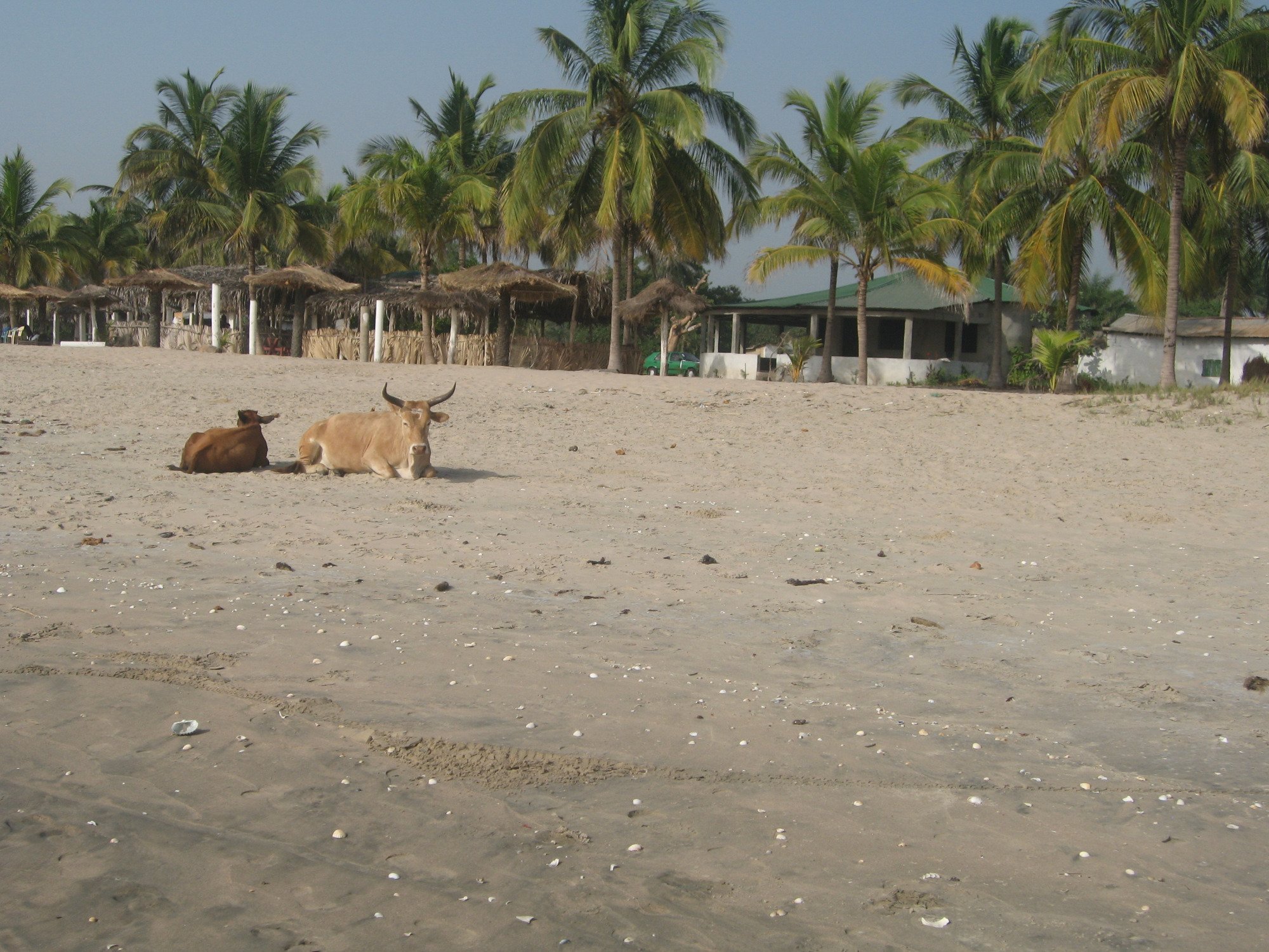 Rainbow Lodge-泳池