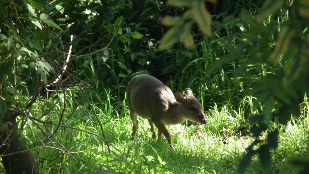 Nahoon Estuary Nature Reserve-东伦敦必去景点