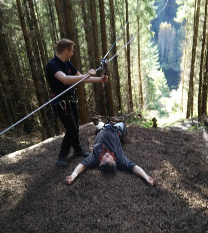 Go Ape Glentress Forest, Peebles-皮布尔斯必去景点