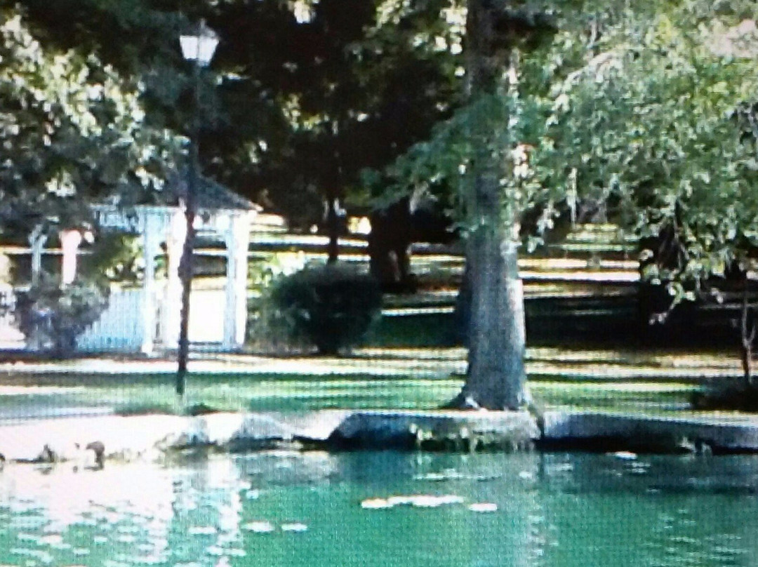 Central Park-Ashland必去景点