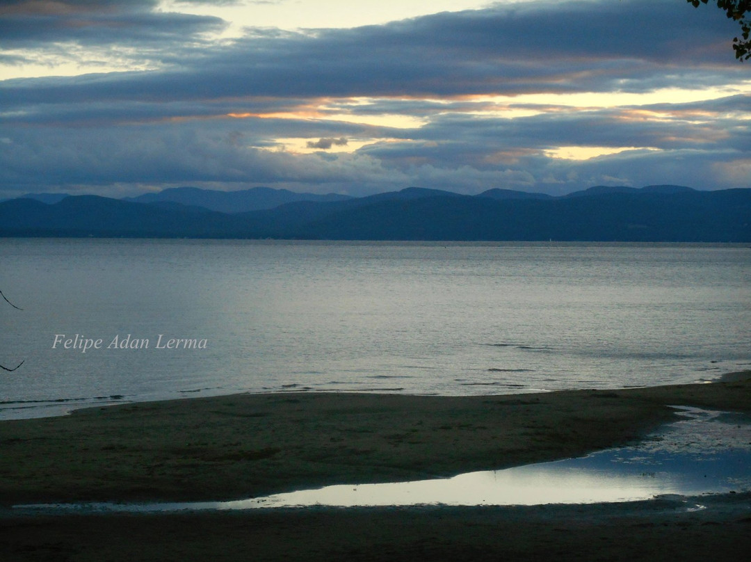 Leddy Park-伯灵顿必去景点