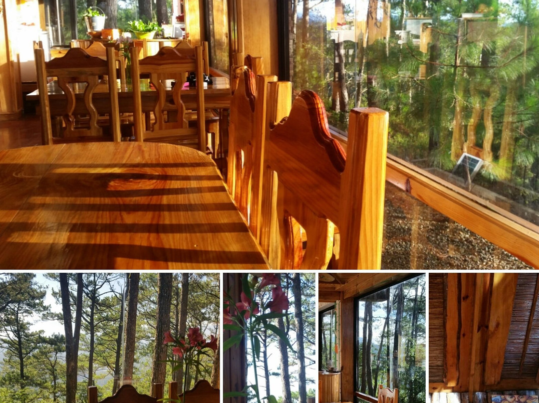 萨加达餐馆和美食-Sagada Cellar Door