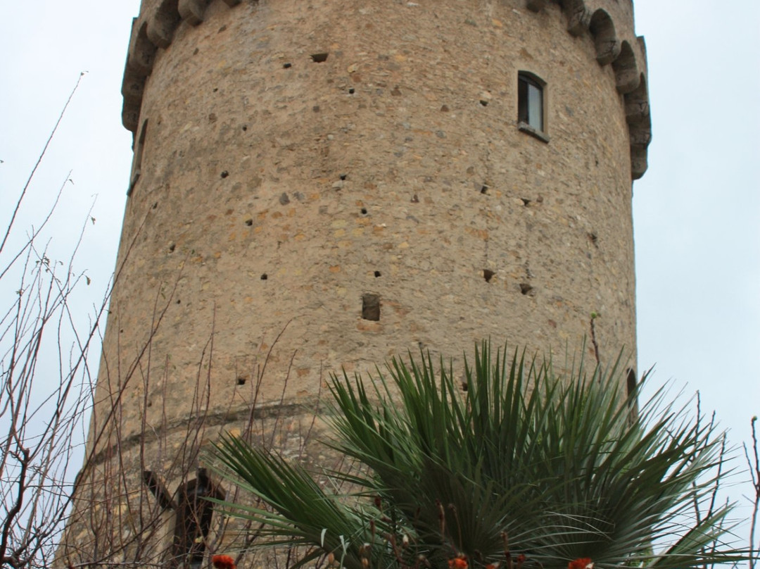 Castello di Castelnuovo Cilento景点图片