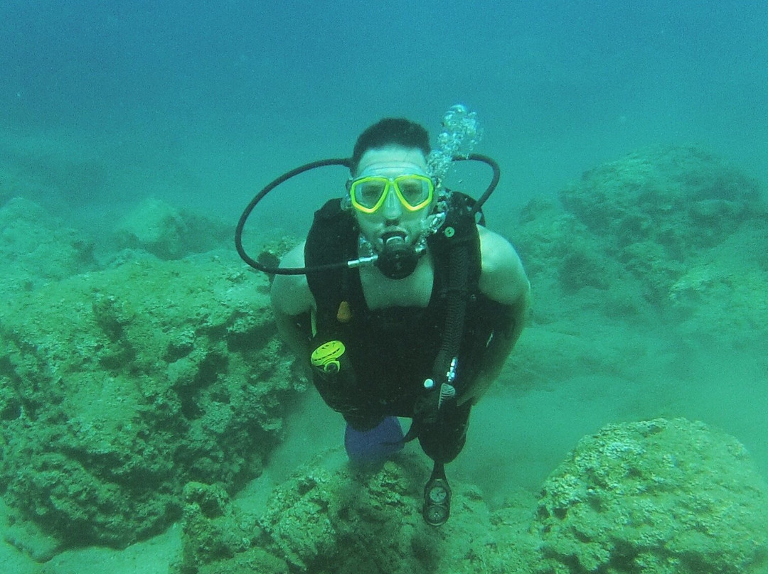 Dream Dive Centre景点图片