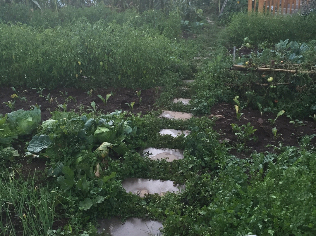 云水栖精品文化酒店主图