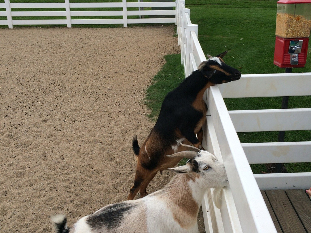 Chahinkapa Zoo-Wahpeton必去景点