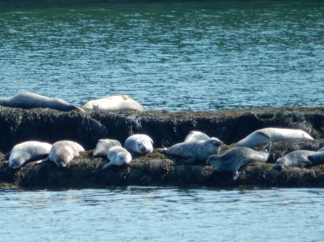 Devil’s Back Trail-奥尔岛必去景点