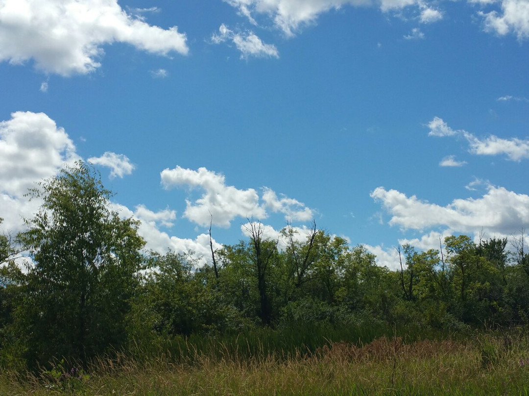 Deer Grove West-巴拉汀必去景点