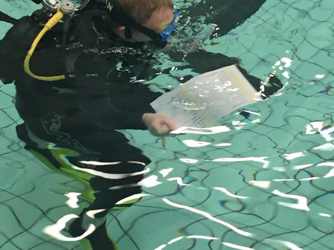 Duikschool Wobbegong-阿默斯福特必去景点